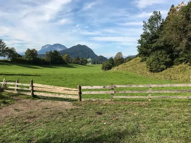 Wanderung Scheffau – Steiner Hochalm – Hinterschießlingalm – Foto 3