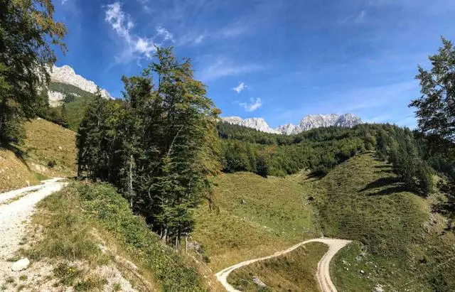 Wanderung Scheffau – Steiner Hochalm – Hinterschießlingalm – Foto 4