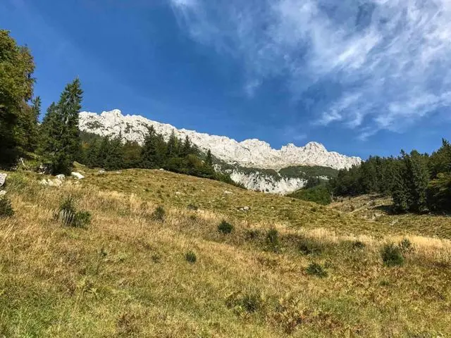 Wanderung Scheffau – Steiner Hochalm – Hinterschießlingalm – Foto 5