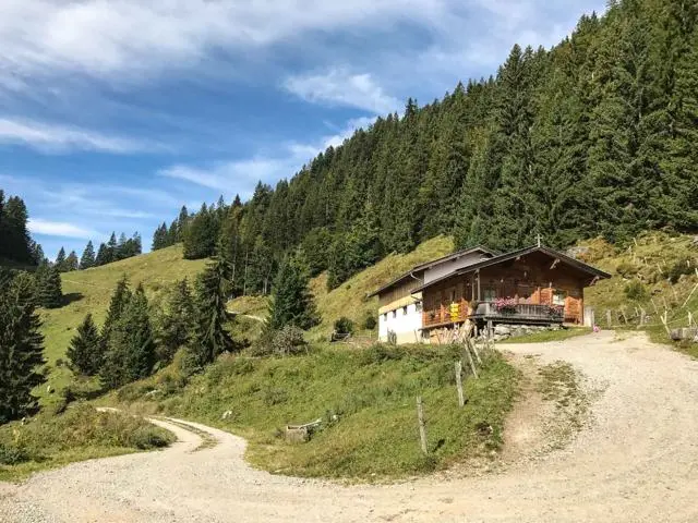 Wanderung Scheffau – Steiner Hochalm – Hinterschießlingalm – Foto 6