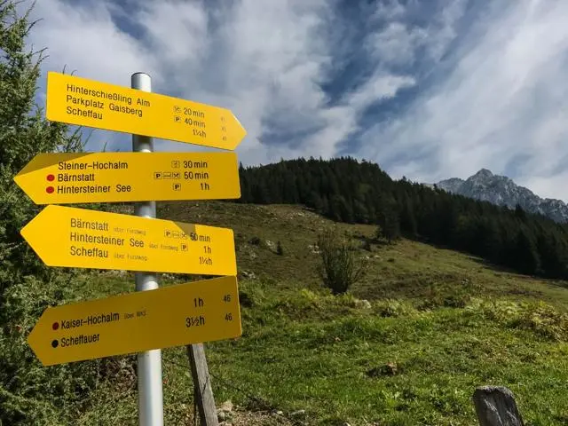 Wanderung Scheffau – Steiner Hochalm – Hinterschießlingalm – Foto 7