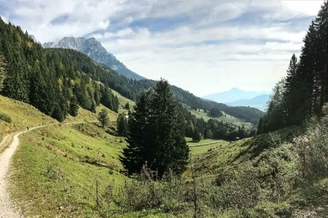Wanderung Scheffau – Steiner Hochalm – Hinterschießlingalm – Foto 8