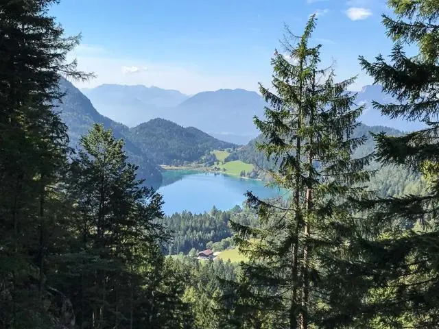 Wanderung Scheffau – Steiner Hochalm – Hinterschießlingalm – Foto 9