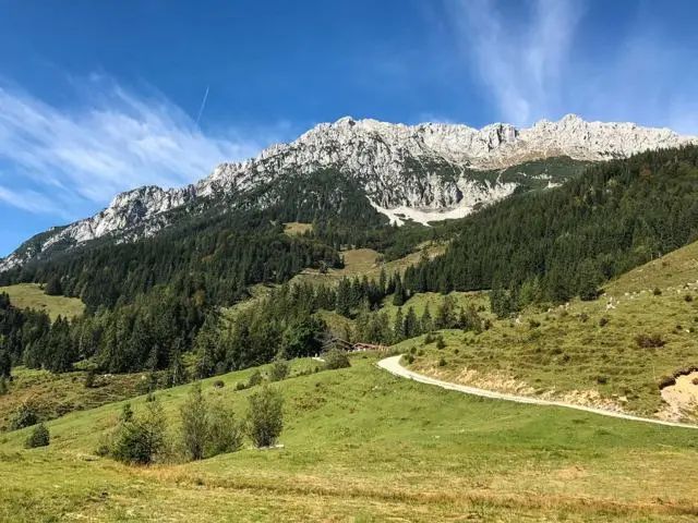 Wanderung Scheffau – Steiner Hochalm – Hinterschießlingalm – Foto 10