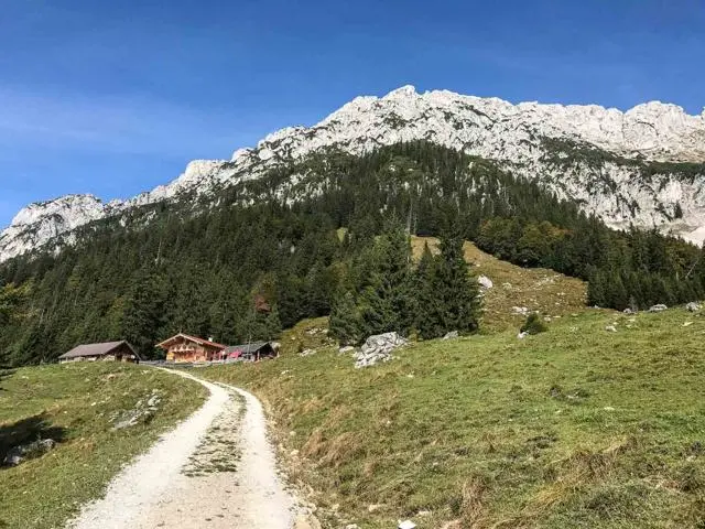 Wanderung Scheffau – Steiner Hochalm – Hinterschießlingalm – Foto 11