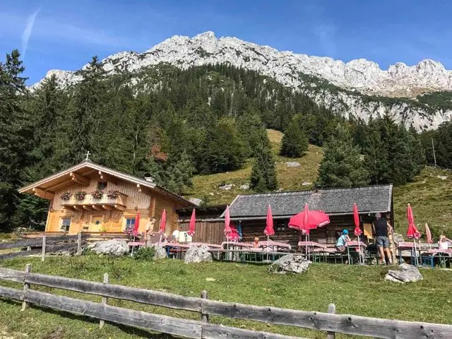 Wanderung Scheffau – Steiner Hochalm – Hinterschießlingalm – Foto 12