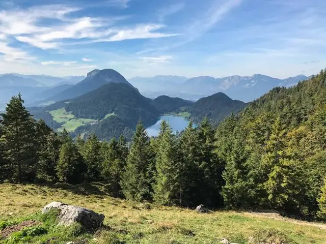 Wanderung Scheffau – Steiner Hochalm – Hinterschießlingalm – Foto 13