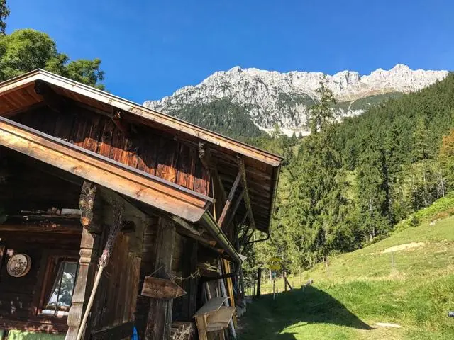 Wanderung Scheffau – Steiner Hochalm – Hinterschießlingalm – Foto 14