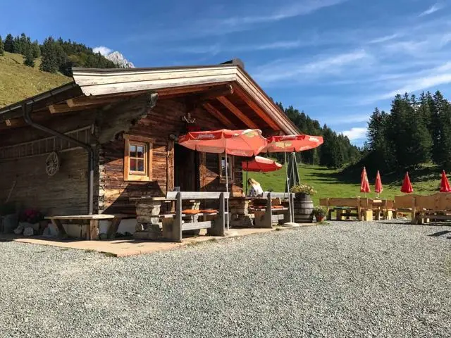 Wanderung Scheffau – Steiner Hochalm – Hinterschießlingalm – Foto 16